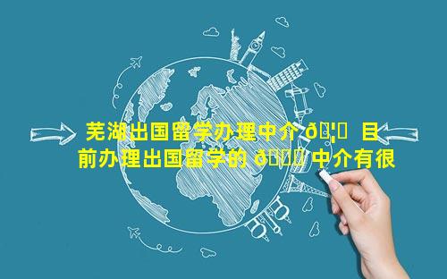 芜湖出国留学办理中介 🦅  目前办理出国留学的 🐋 中介有很多,同学们